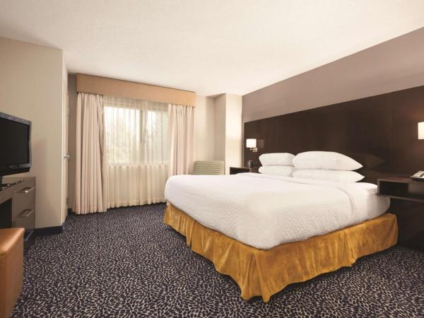 Embassy Suites by Hilton Louisville East : photo 1 de la chambre suite lit king-size exécutive - non-fumeurs