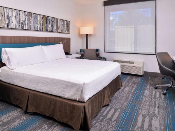 Hilton Garden Inn Salt Lake City Downtown : photo 1 de la chambre chambre lit king-size - pour personnes malentendantes