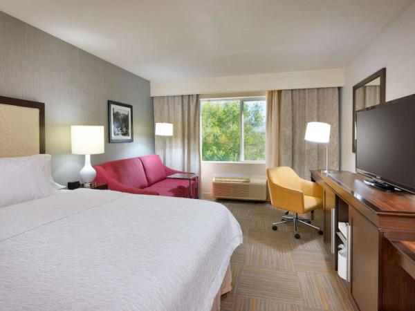 Hampton Inn Salt Lake City Central : photo 3 de la chambre chambre lit king-size - non-fumeurs
