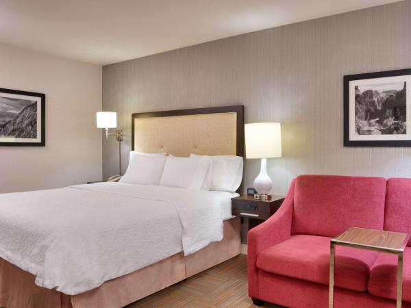 Hampton Inn Salt Lake City Central : photo 5 de la chambre chambre lit king-size - non-fumeurs