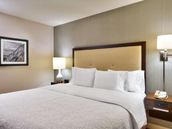Hampton Inn Salt Lake City Central : photo 1 de la chambre chambre de luxe avec lit king-size et canapé-lit - non-fumeurs