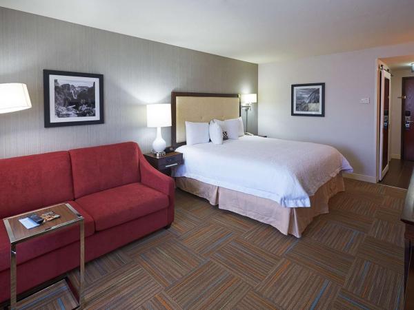 Hampton Inn Salt Lake City Central : photo 5 de la chambre chambre de luxe avec lit king-size et canapé-lit - non-fumeurs