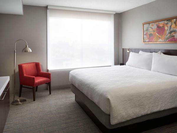 Hilton Garden Inn Toronto Airport West/Mississauga : photo 1 de la chambre suite 1 chambre lit king-size