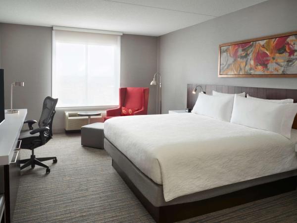 Hilton Garden Inn Toronto Airport West/Mississauga : photo 1 de la chambre chambre lit king-size