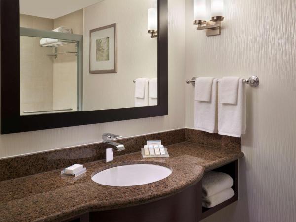 Hilton Garden Inn Toronto Airport West/Mississauga : photo 5 de la chambre chambre lit king-size