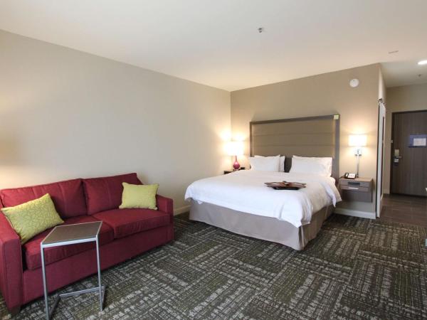 Hampton Inn & Suites Dallas Market Center : photo 3 de la chambre chambre lit king-size - non-fumeurs