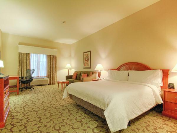 Hilton Garden Inn Las Vegas Strip South : photo 1 de la chambre chambre lit king-size - pour personnes malentendantes