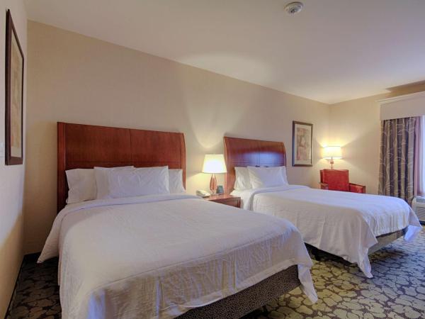 Hilton Garden Inn Las Vegas Strip South : photo 1 de la chambre chambre avec 2 grands lits queen-size 