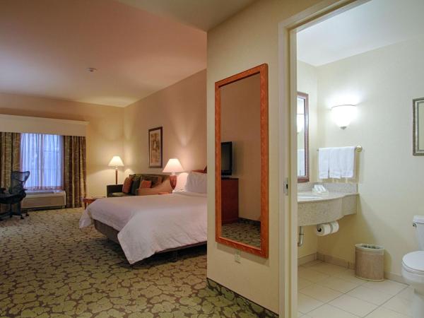 Hilton Garden Inn Las Vegas Strip South : photo 2 de la chambre chambre lit king-size - pour personnes malentendantes