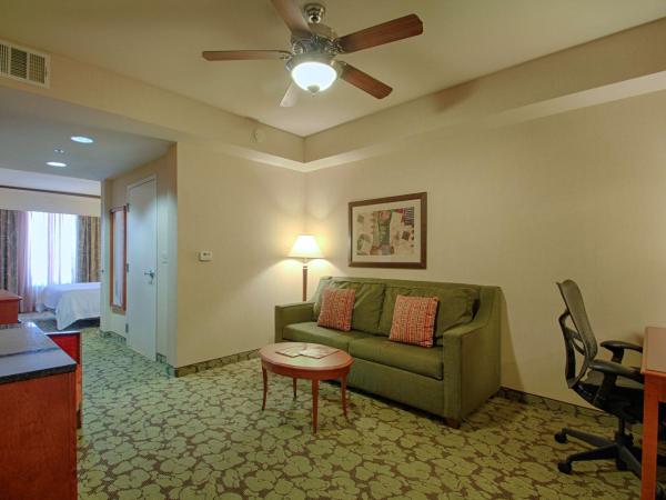 Hilton Garden Inn Las Vegas Strip South : photo 1 de la chambre suite junior lit king-size avec canapé-lit