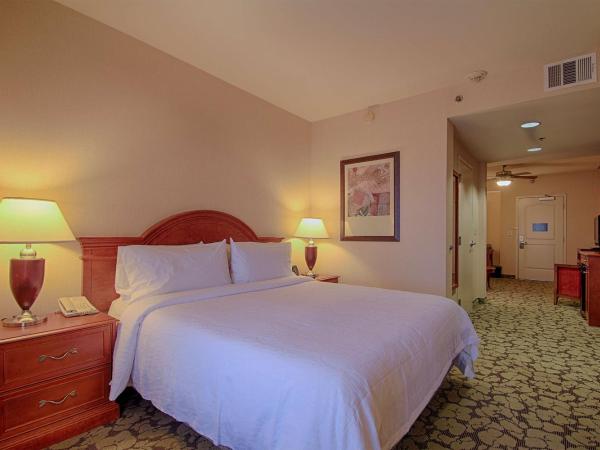 Hilton Garden Inn Las Vegas Strip South : photo 2 de la chambre suite junior lit king-size avec canapé-lit