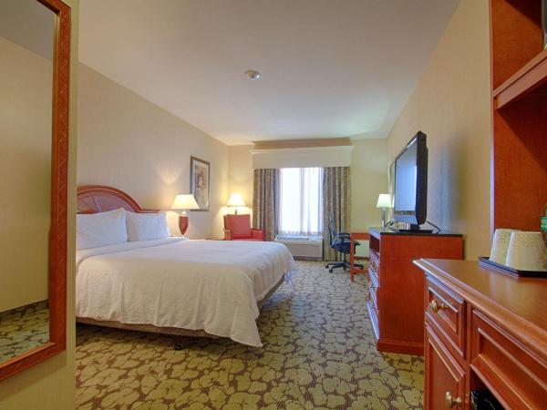Hilton Garden Inn Las Vegas Strip South : photo 1 de la chambre chambre lit king-size