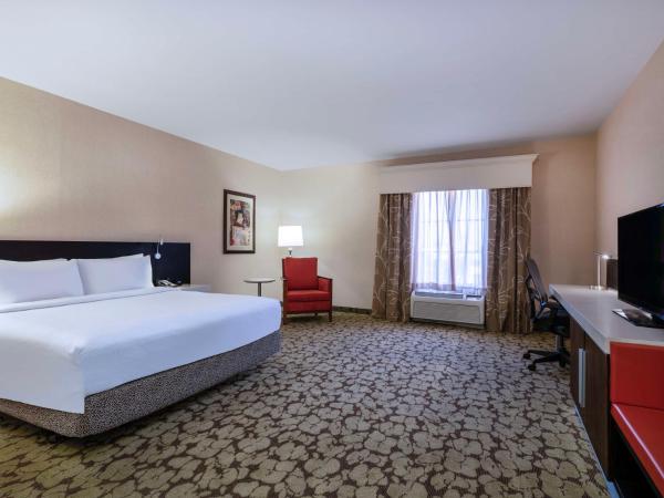 Hilton Garden Inn Las Vegas Strip South : photo 1 de la chambre chambre lit king-size avec baignoire - accessible aux personnes à mobilité réduite et adaptée aux personnes malentendantes