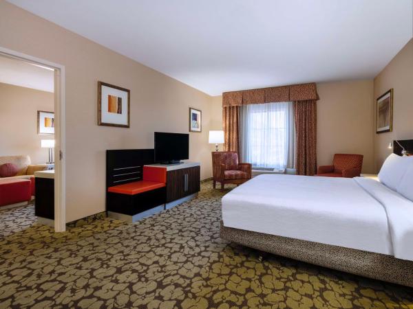 Hilton Garden Inn Las Vegas Strip South : photo 2 de la chambre suite 1 chambre lit king-size avec canapé-lit