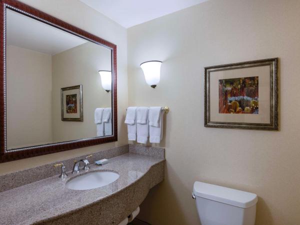 Hilton Garden Inn Las Vegas Strip South : photo 6 de la chambre chambre lit king-size