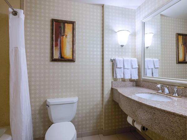 Hilton Garden Inn Las Vegas Strip South : photo 6 de la chambre chambre avec 2 grands lits queen-size 