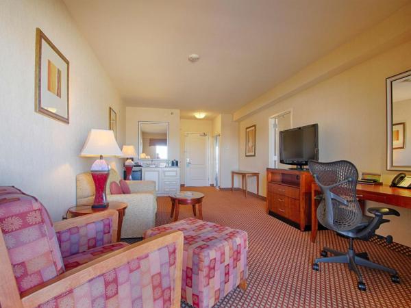 Hilton Garden Inn Las Vegas Strip South : photo 5 de la chambre suite 1 chambre lit king-size avec canapé-lit