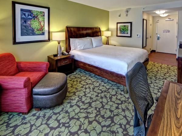 Hilton Garden Inn Memphis/Wolfchase Galleria : photo 3 de la chambre chambre lit king-size