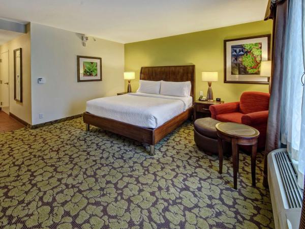 Hilton Garden Inn Memphis/Wolfchase Galleria : photo 1 de la chambre chambre lit king-size