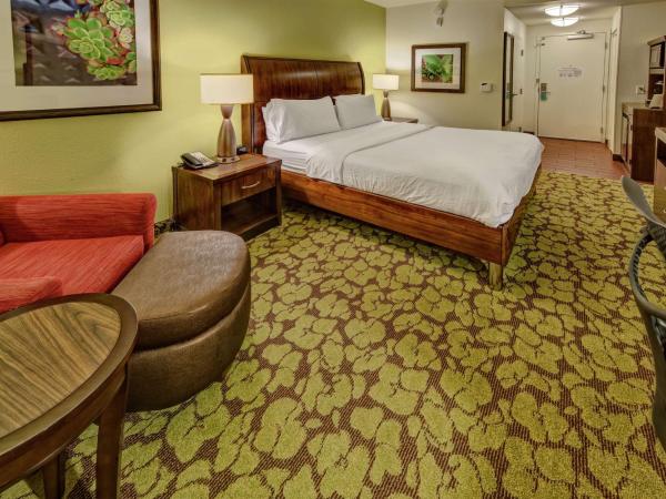 Hilton Garden Inn Memphis/Wolfchase Galleria : photo 2 de la chambre chambre lit king-size