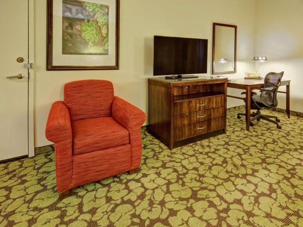 Hilton Garden Inn Memphis/Wolfchase Galleria : photo 3 de la chambre chambre avec 2 lits queen-size - accessible aux personnes à mobilité réduite
