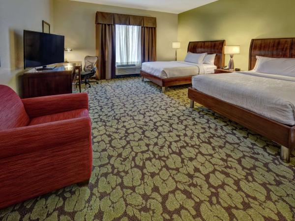 Hilton Garden Inn Memphis/Wolfchase Galleria : photo 2 de la chambre chambre avec 2 lits queen-size - accessible aux personnes à mobilité réduite