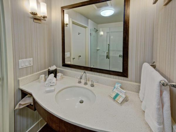 Hilton Garden Inn Memphis/Wolfchase Galleria : photo 8 de la chambre chambre lit king-size