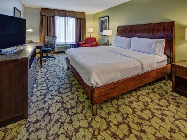 Hilton Garden Inn Memphis/Wolfchase Galleria : photo 6 de la chambre chambre lit king-size