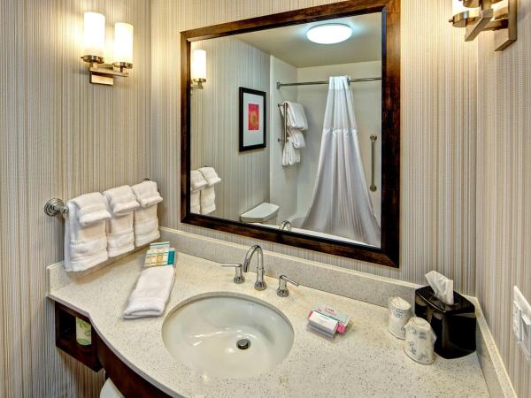 Hilton Garden Inn Memphis/Wolfchase Galleria : photo 9 de la chambre chambre lit king-size