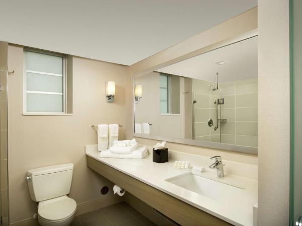 Hilton Garden Inn Miami South Beach : photo 5 de la chambre chambre lit king-size
