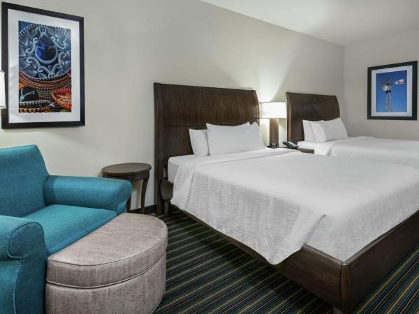 Hilton Garden Inn San Antonio/Rim Pass Drive : photo 1 de la chambre chambre avec 2 grands lits queen-size