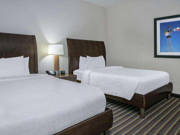 Hilton Garden Inn San Antonio/Rim Pass Drive : photo 1 de la chambre chambre avec 2 lits queen-size - pour personnes malentendantes