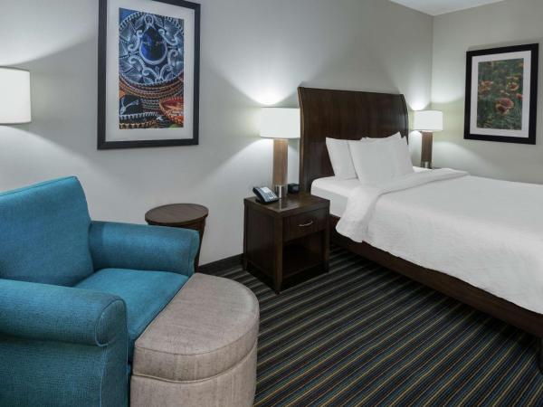 Hilton Garden Inn San Antonio/Rim Pass Drive : photo 1 de la chambre chambre lit king-size