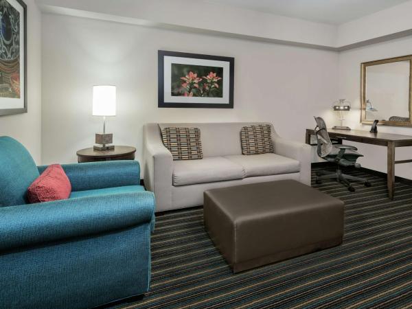 Hilton Garden Inn San Antonio/Rim Pass Drive : photo 1 de la chambre suite 1 chambre lit king-size avec canapé-lit