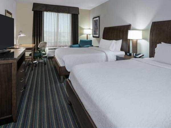 Hilton Garden Inn San Antonio/Rim Pass Drive : photo 2 de la chambre chambre avec 2 grands lits queen-size