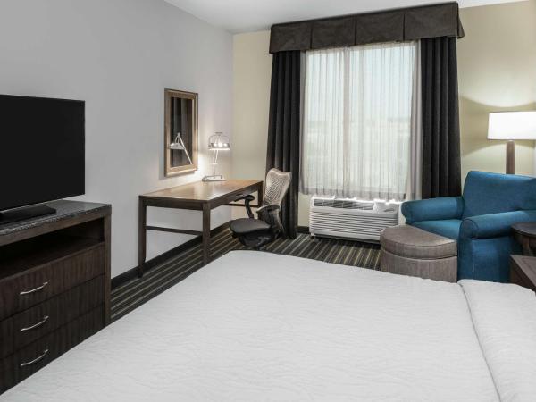 Hilton Garden Inn San Antonio/Rim Pass Drive : photo 3 de la chambre chambre lit king-size