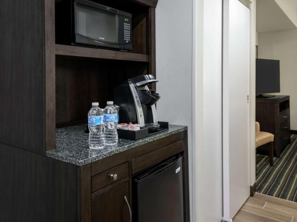 Hilton Garden Inn San Antonio/Rim Pass Drive : photo 2 de la chambre suite 1 chambre lit king-size avec canapé-lit