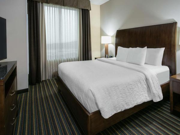 Hilton Garden Inn San Antonio/Rim Pass Drive : photo 3 de la chambre suite 1 chambre lit king-size avec canapé-lit