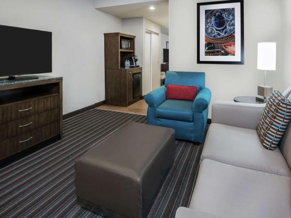 Hilton Garden Inn San Antonio/Rim Pass Drive : photo 4 de la chambre suite 1 chambre lit king-size avec canapé-lit