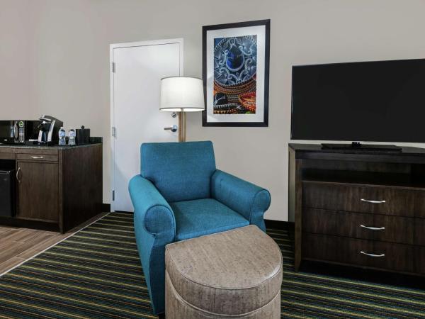 Hilton Garden Inn San Antonio/Rim Pass Drive : photo 3 de la chambre chambre avec 2 lits queen-size - pour personnes malentendantes
