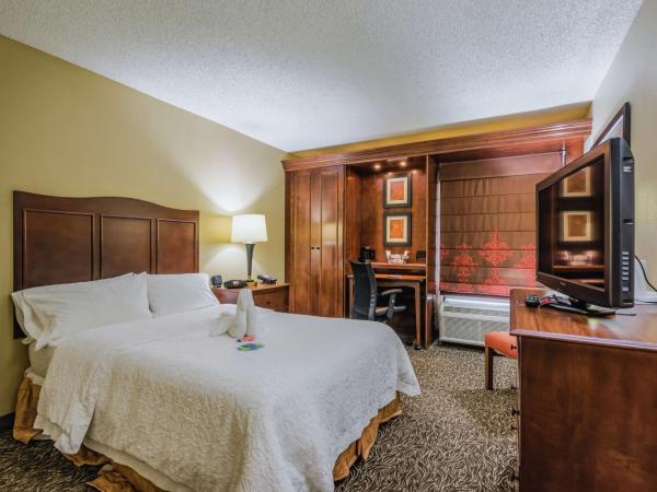 Hampton Inn Tampa International Airport/Westshore : photo 2 de la chambre double room with tub - mobility accessible/non-smoking