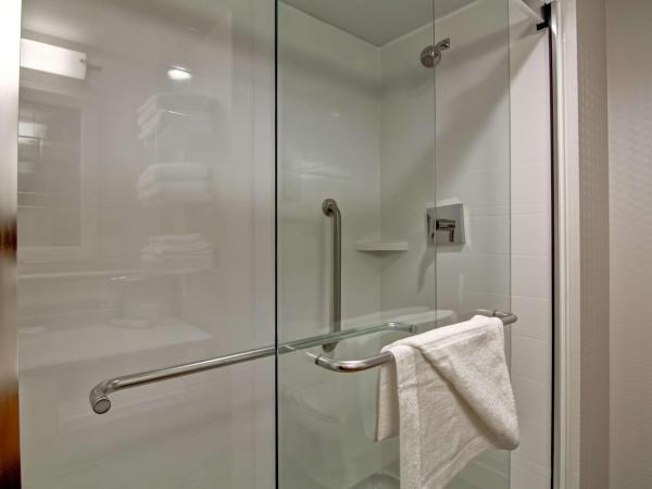 Hampton Inn & Suites by Hilton Saskatoon Airport : photo 4 de la chambre chambre lit king-size avec canapé-lit - non-fumeurs