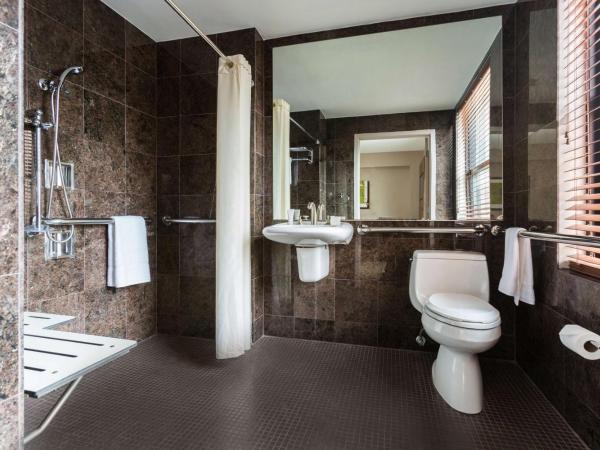 The Sam Houston Hotel, Curio Collection by Hilton : photo 6 de la chambre chambre lit king-size de luxe - accessible aux personnes malentendantes