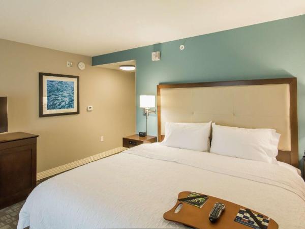 Hampton Inn & Suites Orlando near SeaWorld : photo 3 de la chambre chambre lit king-size - non-fumeurs