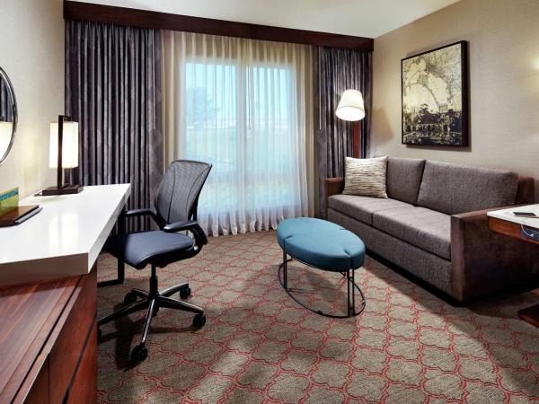 Hilton Garden Inn San Diego Old Town/Sea World Area : photo 1 de la chambre chambre lit king-size avec canapé-lit