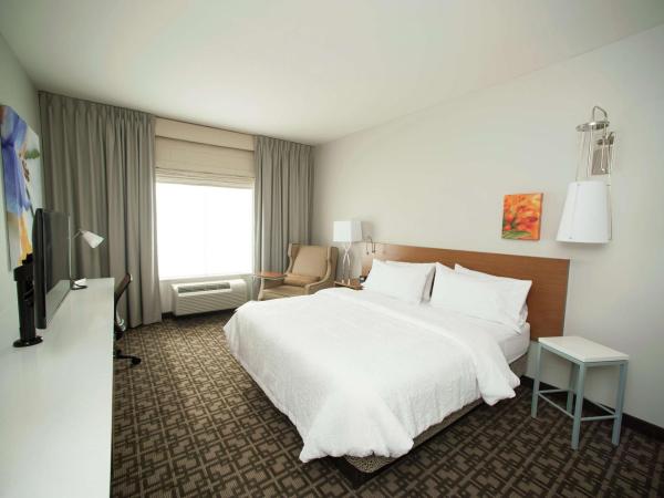 Hilton Garden Inn San Antonio-Live Oak Conference Center : photo 4 de la chambre chambre lit king-size avec baignoire accessible aux personnes à mobilité réduite - adaptée aux personnes à mobilité réduite