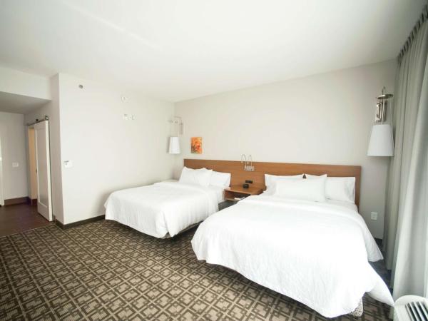 Hilton Garden Inn San Antonio-Live Oak Conference Center : photo 2 de la chambre chambre avec 2 lits queen-size - accessible aux personnes à mobilité réduite