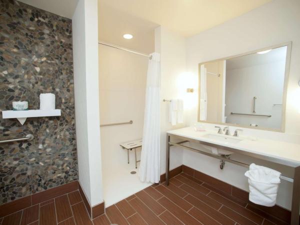 Hilton Garden Inn San Antonio-Live Oak Conference Center : photo 4 de la chambre chambre avec 2 lits queen-size - douche accessible en fauteuil roulant - accessible aux personnes à mobilité réduite