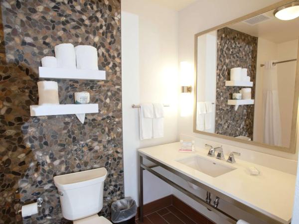 Hilton Garden Inn San Antonio-Live Oak Conference Center : photo 7 de la chambre chambre lit king-size avec baignoire accessible aux personnes à mobilité réduite - adaptée aux personnes à mobilité réduite