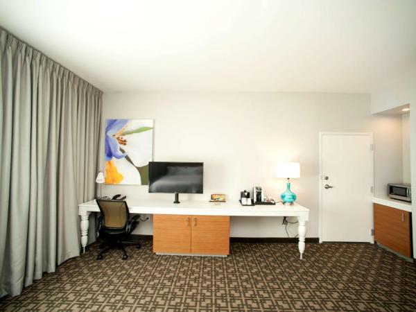 Hilton Garden Inn San Antonio-Live Oak Conference Center : photo 5 de la chambre chambre lit king-size avec baignoire accessible aux personnes à mobilité réduite - adaptée aux personnes à mobilité réduite